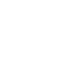 Ballistic and trauma protection icon